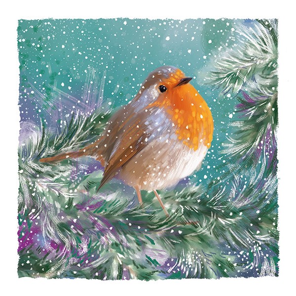 UCLH Charity Christmas card - Winter Robin