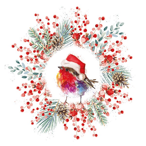 UCLH Charity Christmas card - Robin and Santa hat